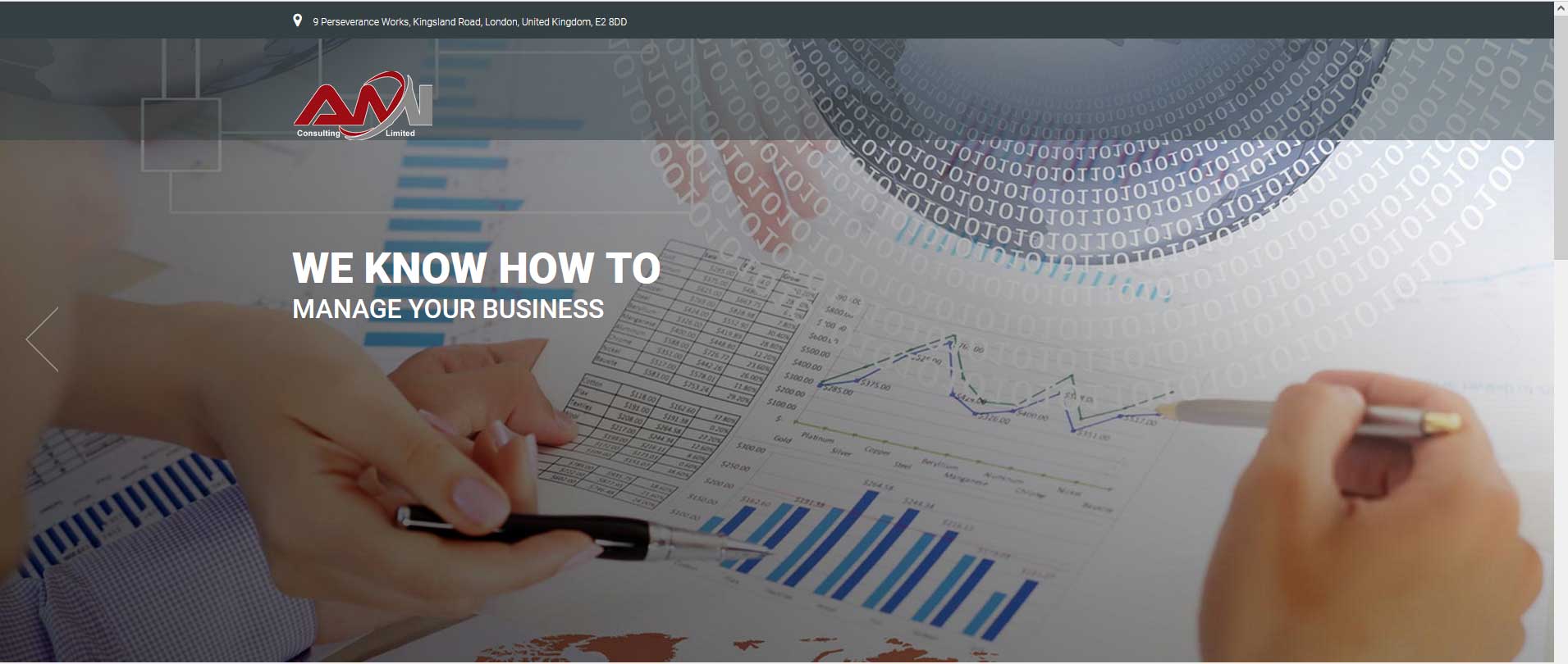 AMI Consulting Website